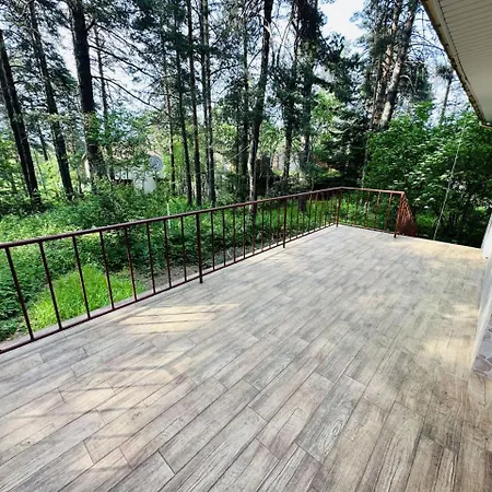 данели * ツィゴフ・チャルク