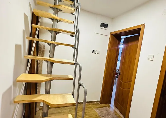 بيت للعطل данели تسيغوف تشارك