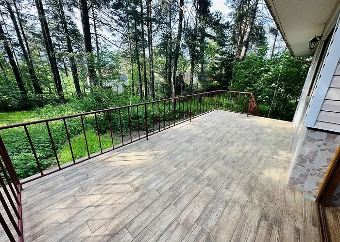 данели * تسيغوف تشارك