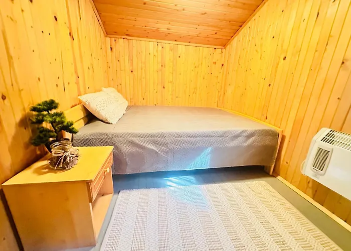 بيت للعطل данели تسيغوف تشارك