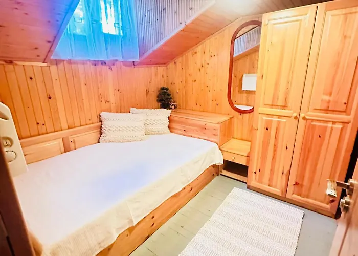 данели تسيغوف تشارك