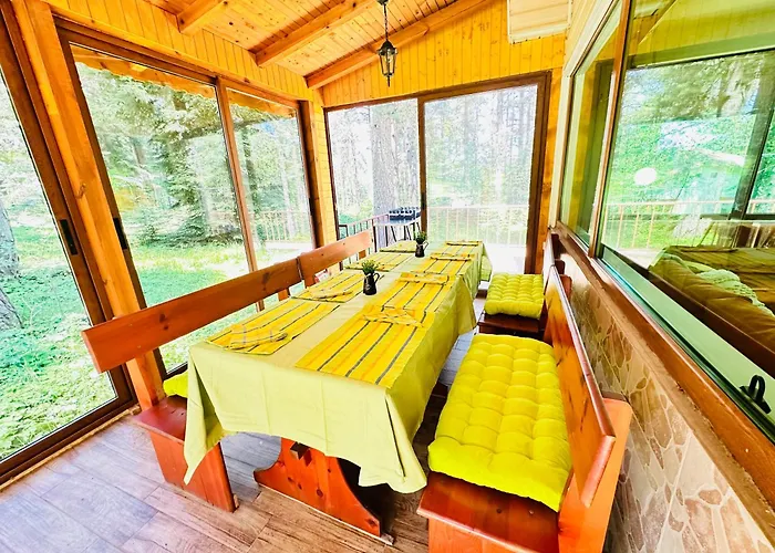 данели بيت للعطل تسيغوف تشارك